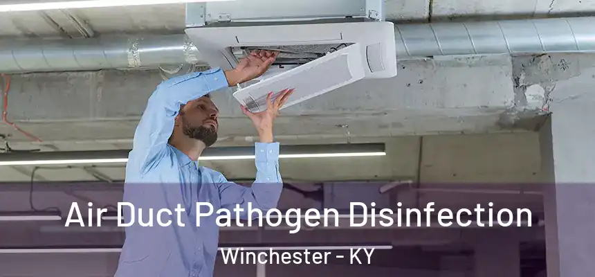  Air Duct Pathogen Disinfection Winchester - KY