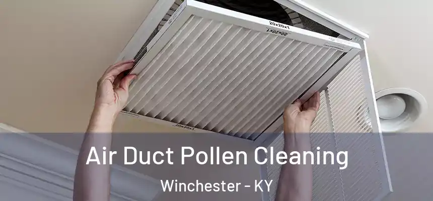  Air Duct Pollen Cleaning Winchester - KY