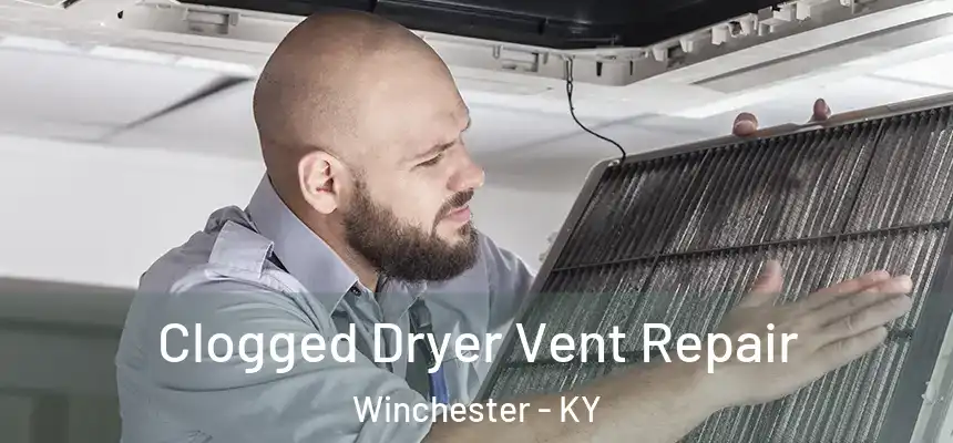  Clogged Dryer Vent Repair Winchester - KY