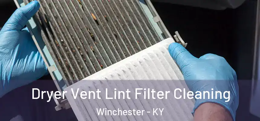  Dryer Vent Lint Filter Cleaning Winchester - KY