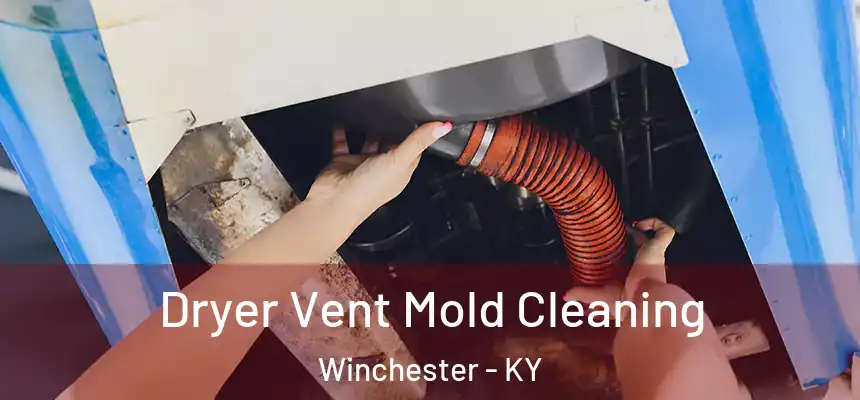  Dryer Vent Mold Cleaning Winchester - KY