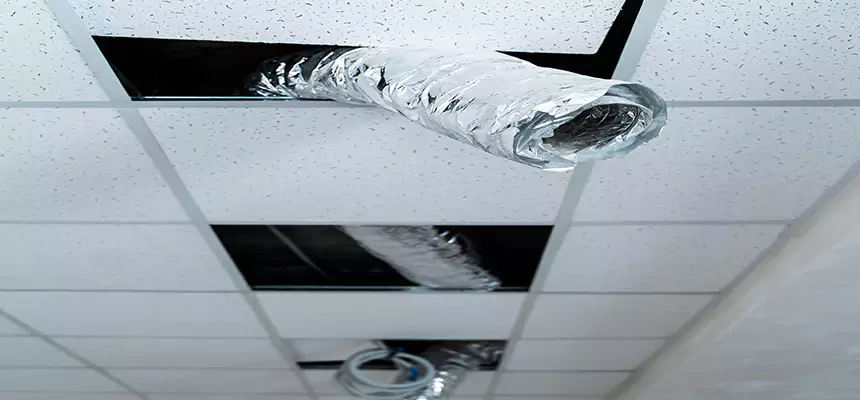 Our Air Duct Pet Hair Removal Services in Winchester, KY