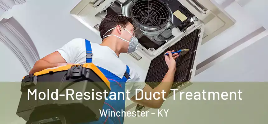  Mold-Resistant Duct Treatment Winchester - KY