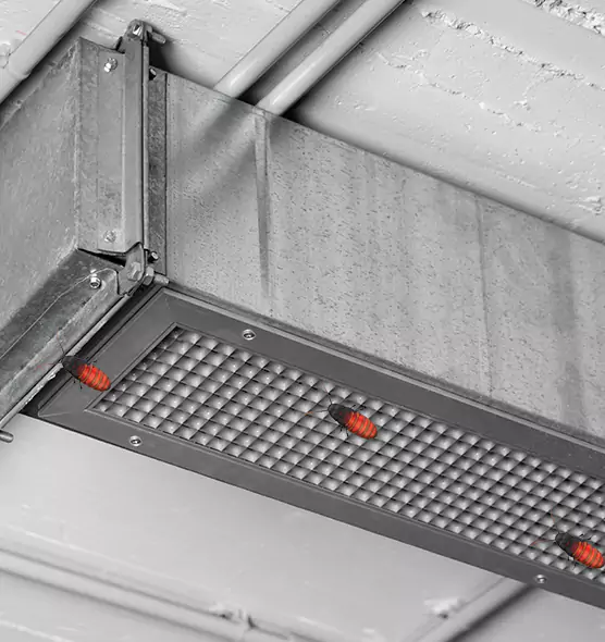 About Air Duct Cockroach Removal in Winchester, KY