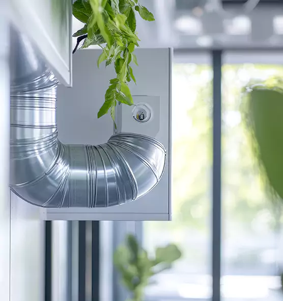 Professional Eco-Safe Dryer Vent Cleaning in Winchester, KY