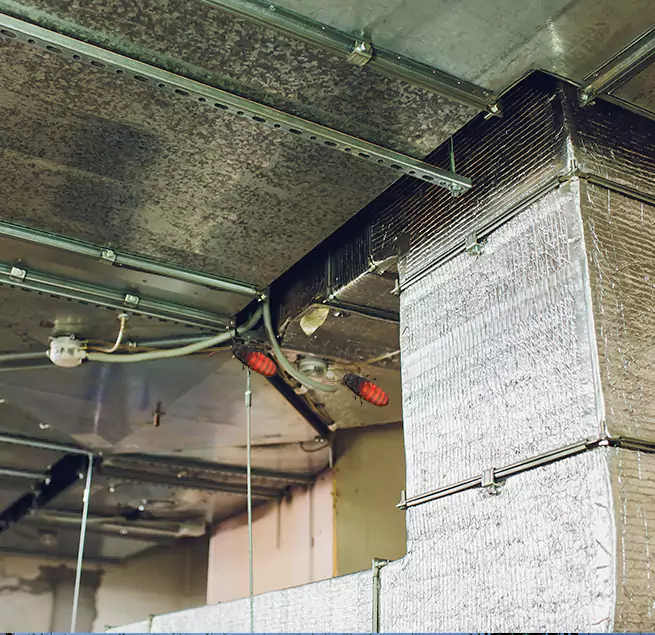 Why Homeowners & Businesses Trust Us in Winchester, KY?