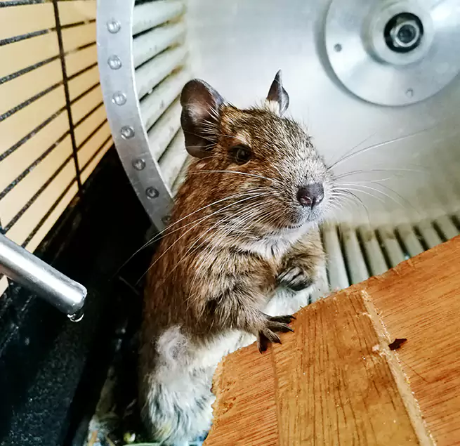 Why Homeowners & Businesses Trust Us Winchester, KY